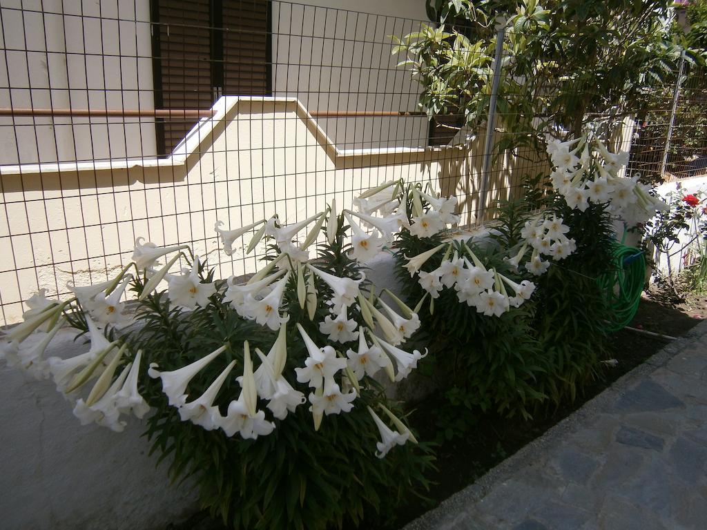 Amfi Apartments Kardamena  المظهر الخارجي الصورة